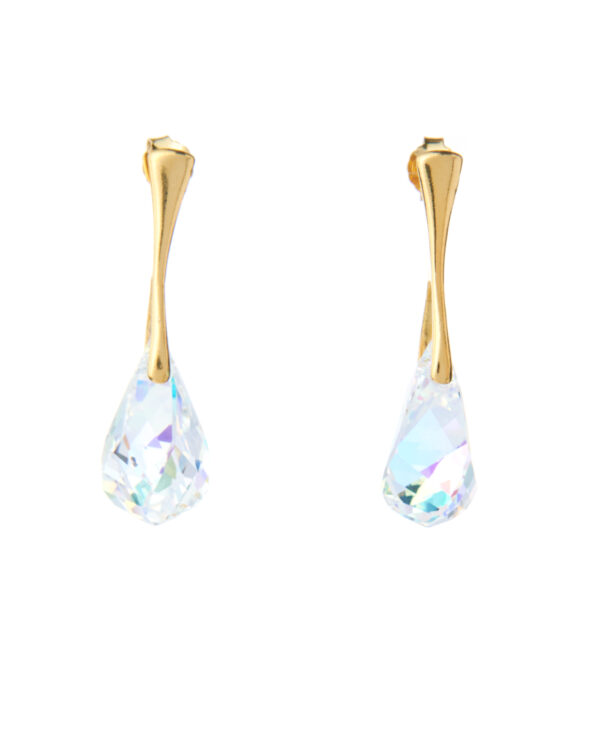 Crystal Silver Earrings with Gold plating